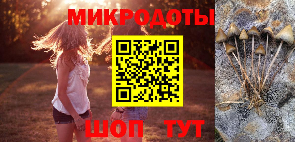 Псилоцибиновые грибы мицелий Россошь