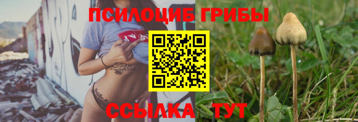 Галлюциногенные грибы GOLDEN TEACHER  Псилоцибиновые грибы Psilocybine cubensis  Россошь  дарнет шоп  Вход с VPN 