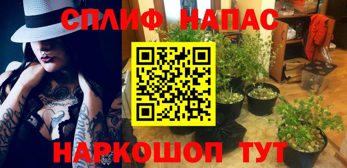 Конопля ГИДРОПОН Россошь